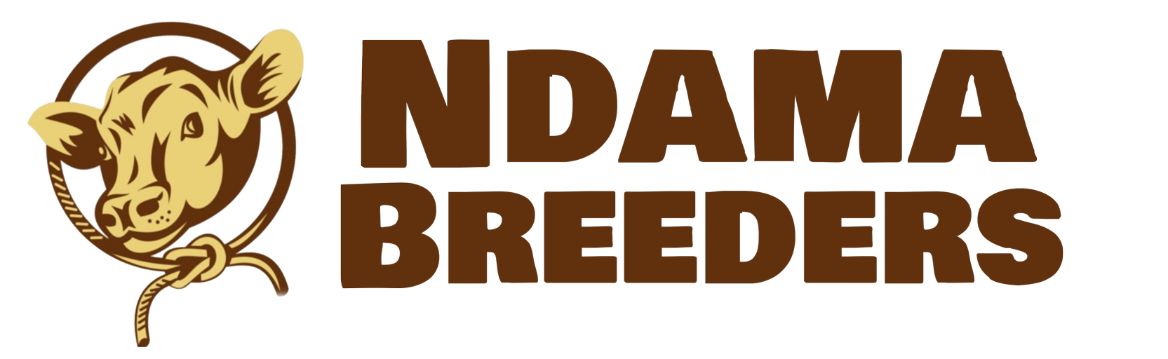 Ndama Breeders EA